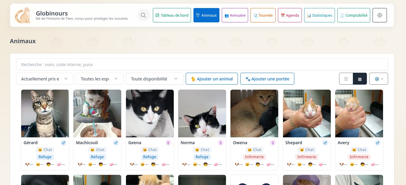 Screenshot of Globinours